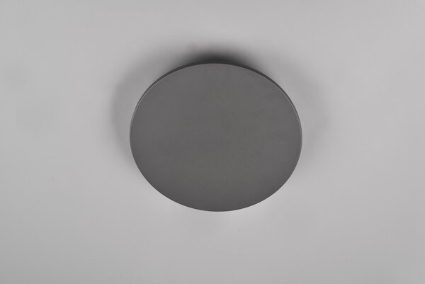 Φωτιστικό Επίτοιχο Trio Lighting BELLY 240660142 Ανθρακί (Anthracite) 3000K