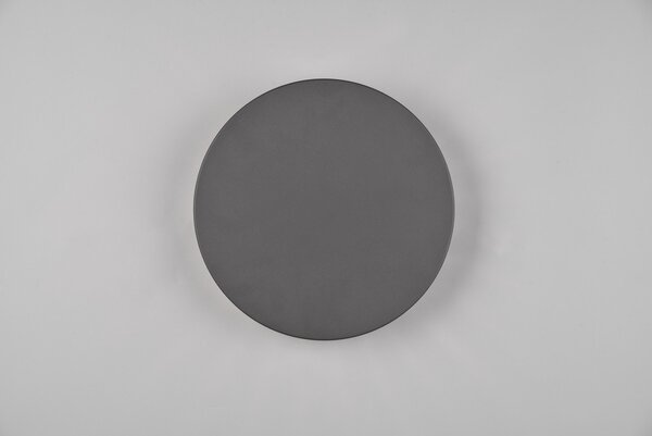 Φωτιστικό Επίτοιχο Trio Lighting BELLY 240660142 Ανθρακί (Anthracite) 3000K