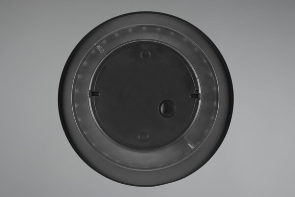 Φωτιστικό Επίτοιχο Trio Lighting BELLY 240660142 Ανθρακί (Anthracite) 3000K