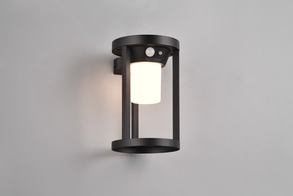 Φωτιστικό Επίτοιχο Trio Lighting CARMO 241069132 Μαύρο Ματ (Black Mat) 3000K