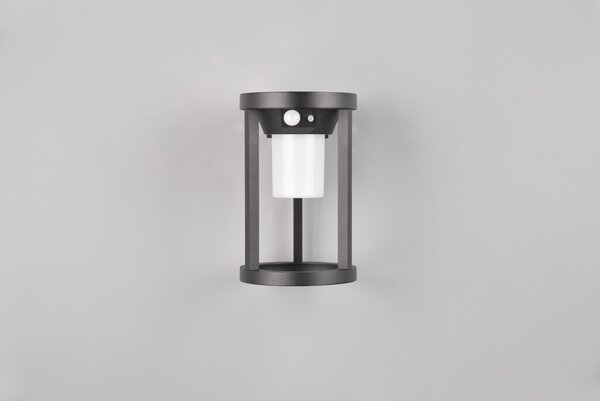 Φωτιστικό Επίτοιχο Trio Lighting CARMO 241069132 Μαύρο Ματ (Black Mat) 3000K