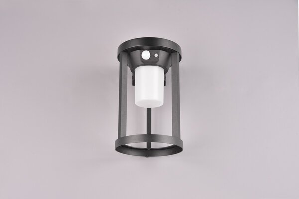 Φωτιστικό Επίτοιχο Trio Lighting CARMO 241069132 Μαύρο Ματ (Black Mat) 3000K