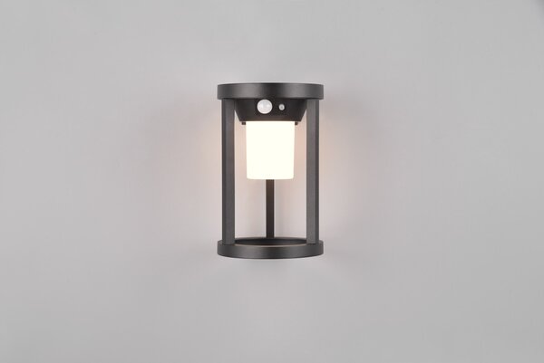 Φωτιστικό Επίτοιχο Trio Lighting CARMO 241069132 Μαύρο Ματ (Black Mat) 3000K