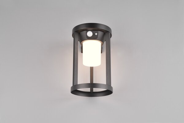 Φωτιστικό Επίτοιχο Trio Lighting CARMO 241069132 Μαύρο Ματ (Black Mat) 3000K