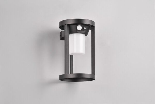 Φωτιστικό Επίτοιχο Trio Lighting CARMO 241069132 Μαύρο Ματ (Black Mat) 3000K