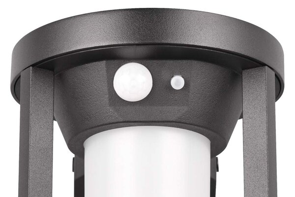 Φωτιστικό Επίτοιχο Trio Lighting CARMO 241069132 Μαύρο Ματ (Black Mat) 3000K