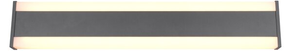 Φωτιστικό Επίτοιχο Trio Lighting DAWSON 246360242 Ανθρακί (Anthracite) 2300+3000+4000K