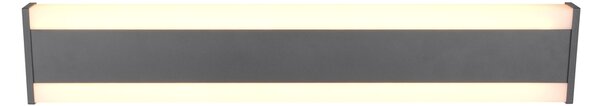 Φωτιστικό Επίτοιχο Trio Lighting DAWSON 246360242 Ανθρακί (Anthracite) 2300+3000+4000K