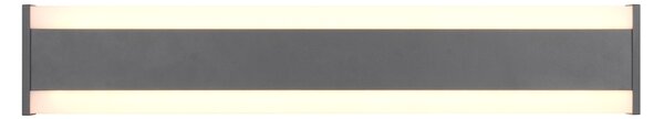 Φωτιστικό Επίτοιχο Trio Lighting DAWSON 246360242 Ανθρακί (Anthracite) 2300+3000+4000K