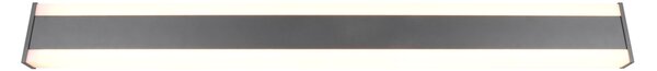 Φωτιστικό Επίτοιχο Trio Lighting DAWSON 246360342 Ανθρακί (Anthracite) 2300+3000+4000K