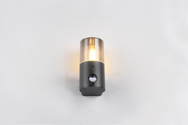 Φωτιστικό Επίτοιχο Trio Lighting HOOSIC 222260132 Μαύρο Ματ (Black Mat)