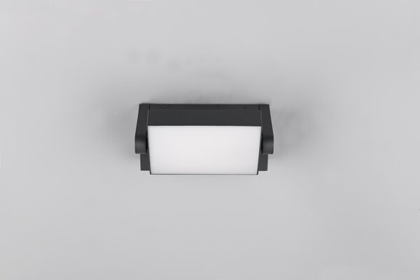 Φωτιστικό Επίτοιχο Trio Lighting KANSAS 246860142 Ανθρακί (Anthracite) 3000K