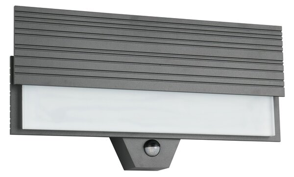 Φωτιστικό Επίτοιχο Trio Lighting MARIZA 247069142 Ανθρακί (Anthracite) 3000K