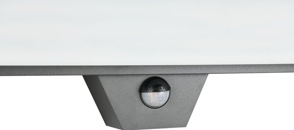 Φωτιστικό Επίτοιχο Trio Lighting MARIZA 247069142 Ανθρακί (Anthracite) 3000K