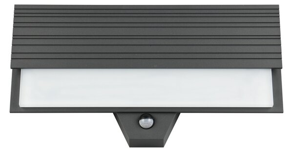 Φωτιστικό Επίτοιχο Trio Lighting MARIZA 247069142 Ανθρακί (Anthracite) 3000K