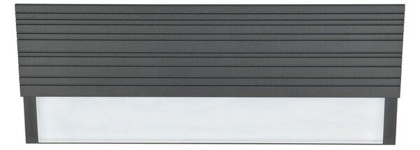 Φωτιστικό Επίτοιχο Trio Lighting MARIZA 247060142 Ανθρακί (Anthracite) 3000K