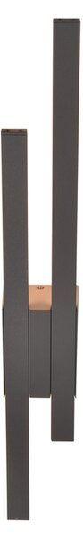 Φωτιστικό Επίτοιχο Trio Lighting TAWA 221460242 Ανθρακί (Anthracite) 3000K