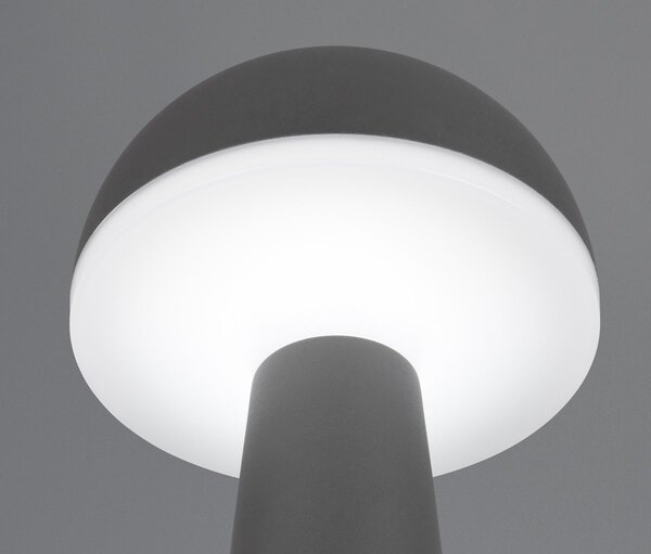Φωτιστικό Επιτραπέζιο Reality Lighting -RL FUNGO R57716142 Ανθρακί (Anthracite) 3000+4000+6500K