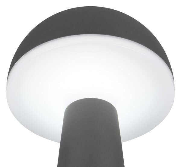 Φωτιστικό Επιτραπέζιο Reality Lighting -RL FUNGO R57716142 Ανθρακί (Anthracite) 3000+4000+6500K