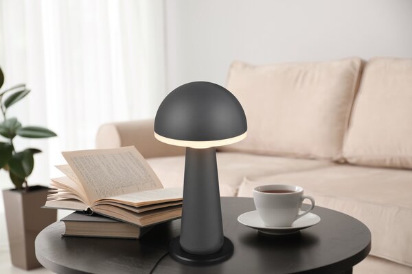 Φωτιστικό Επιτραπέζιο Reality Lighting -RL FUNGO R57716142 Ανθρακί (Anthracite) 3000+4000+6500K