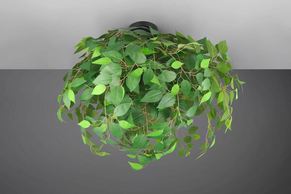 Φωτιστικό Οροφής Reality Lighting -RL LEAVY R60463015 Μαύρο Ματ (Black Mat)