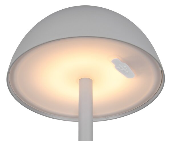 Φωτιστικό Επιτραπέζιο Reality Lighting -RL RICARDO R54106177 Γκρι (Grey) 3000K
