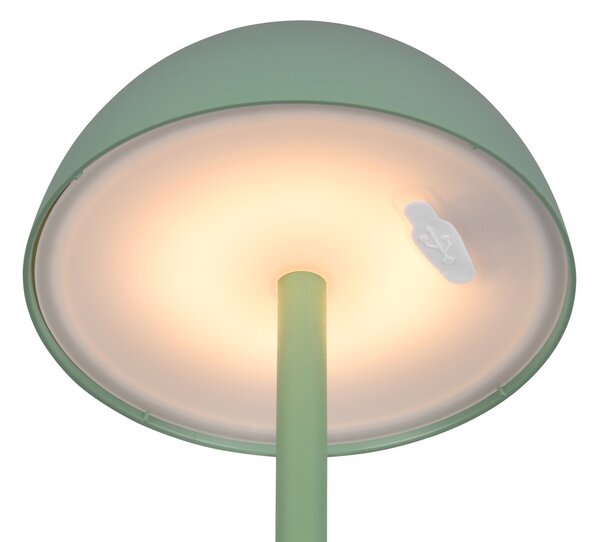 Φωτιστικό Επιτραπέζιο Reality Lighting -RL RICARDO R54106149 Πράσινο (Green) 3000K