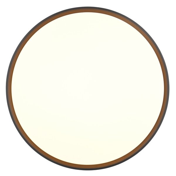 Φωτιστικό Οροφής Reality Lighting -RL SPACY R64851132 Μαύρο Ματ (Black Mat) 2700 - 6500K