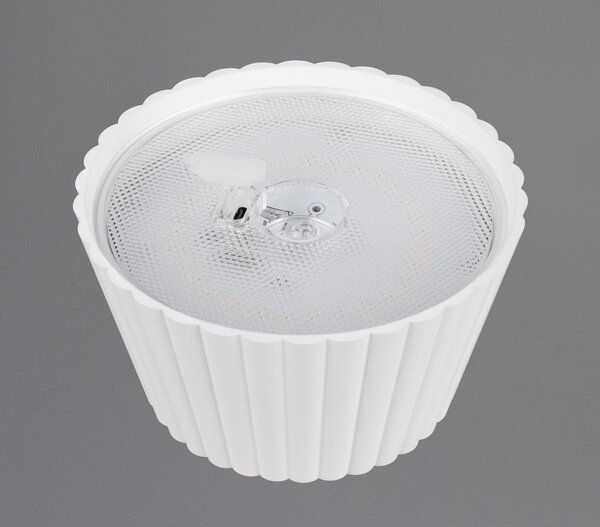 Φωτιστικό Επιτραπέζιο Reality Lighting -RL SUAREZ R57706131 Λευκό Ματ (White Mat) 3000K