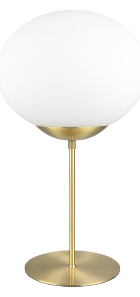 Φωτιστικό Επιτραπέζιο Trio Lighting FOMENTO 563100108 Ορειχαλκωμένο Ματ (Brass Mat)