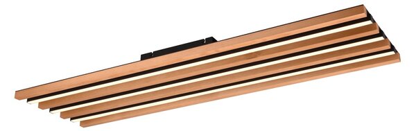 Φωτιστικό Οροφής Trio Lighting FONTANA 648911332 Μαύρο Ματ (Black Mat) 3000K