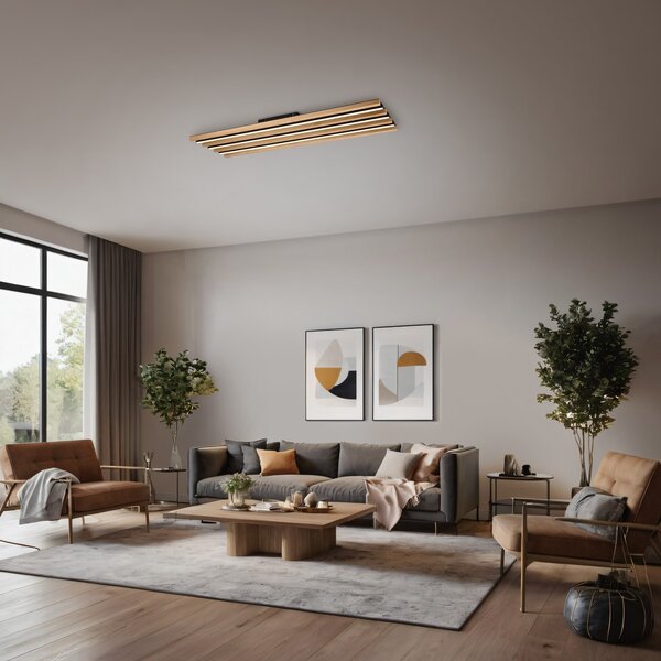 Φωτιστικό Οροφής Trio Lighting FONTANA 648911332 Μαύρο Ματ (Black Mat) 3000K