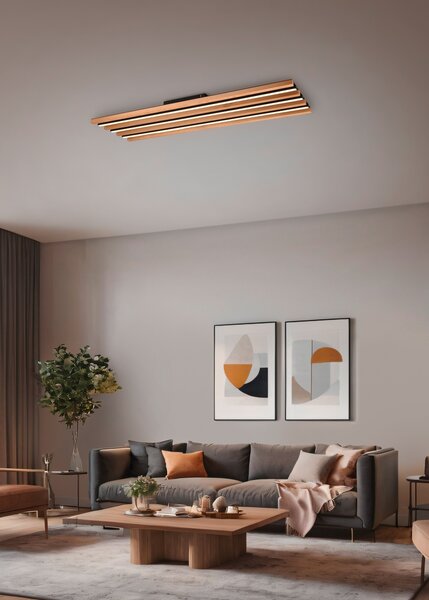 Φωτιστικό Οροφής Trio Lighting FONTANA 648911332 Μαύρο Ματ (Black Mat) 3000K