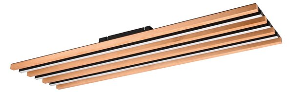 Φωτιστικό Οροφής Trio Lighting FONTANA 648911332 Μαύρο Ματ (Black Mat) 3000K
