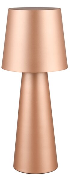 Φωτιστικό Επιτραπέζιο Trio Lighting NUBIAN 562900165 Καφετί (Coffee)