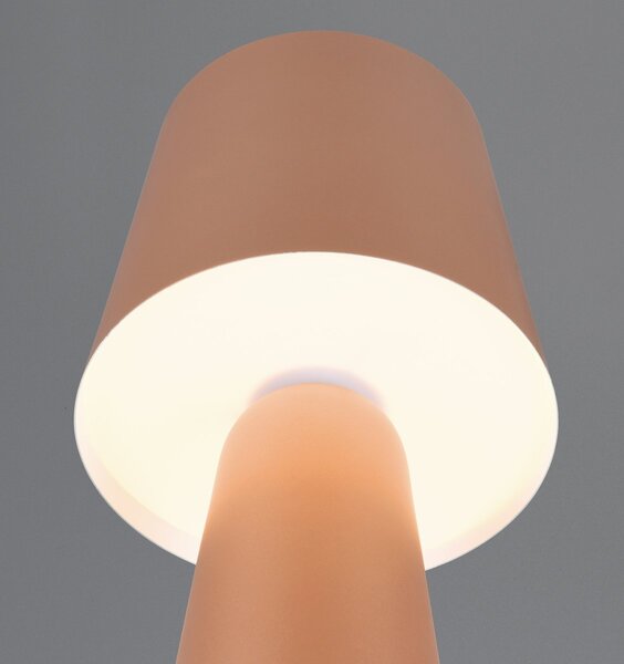 Φωτιστικό Επιτραπέζιο Trio Lighting NUBIAN 562900165 Καφετί (Coffee)