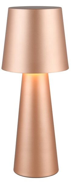 Φωτιστικό Επιτραπέζιο Trio Lighting NUBIAN 562900165 Καφετί (Coffee)