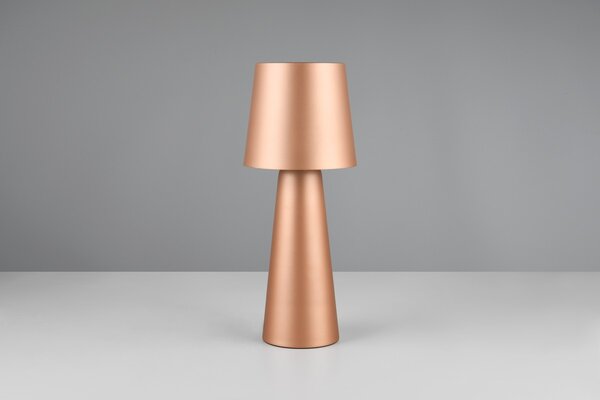 Φωτιστικό Επιτραπέζιο Trio Lighting NUBIAN 562900165 Καφετί (Coffee)