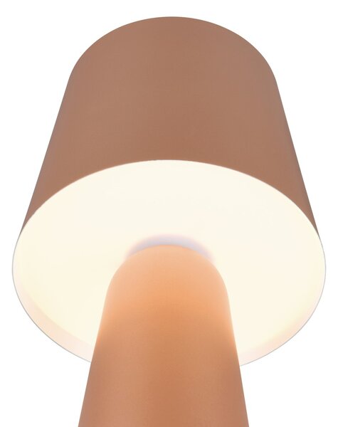Φωτιστικό Επιτραπέζιο Trio Lighting NUBIAN 562900165 Καφετί (Coffee)