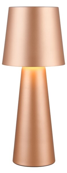 Φωτιστικό Επιτραπέζιο Trio Lighting NUBIAN 562900165 Καφετί (Coffee)
