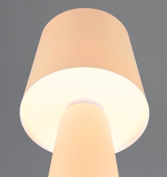 Φωτιστικό Επιτραπέζιο Trio Lighting NUBIAN 562900144 Fawn
