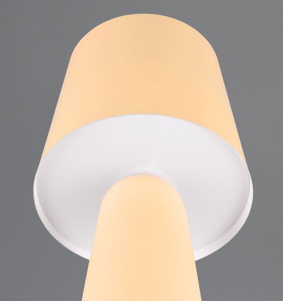 Φωτιστικό Επιτραπέζιο Trio Lighting NUBIAN 562900144 Fawn