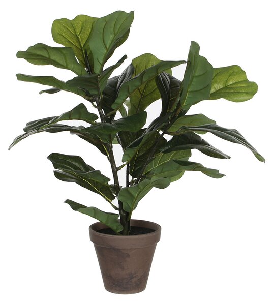 Τεχνητό Φυτό Σε Γλάστρα 35εκ. Edelman Ficus Lyrata 930693