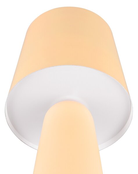 Φωτιστικό Επιτραπέζιο Trio Lighting NUBIAN 562900144 Fawn