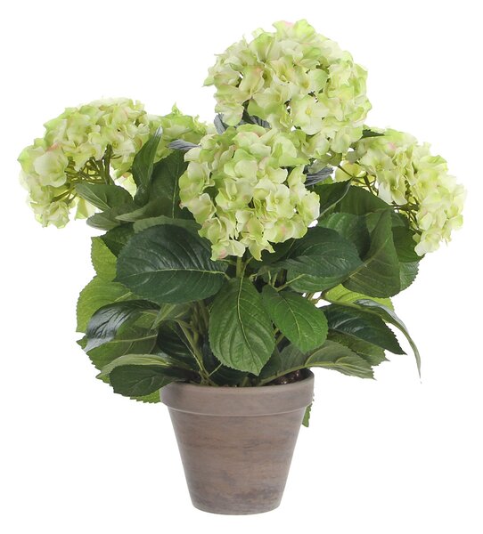 Τεχνητό Λουλούδι Σε Γλάστρα 45εκ. Edelman Hortensia Cream 947273