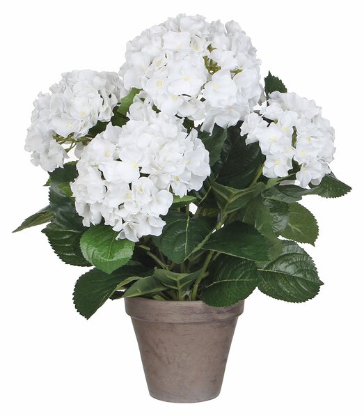 Τεχνητό Λουλούδι Σε Γλάστρα 45εκ. Edelman Hortensia White 947278