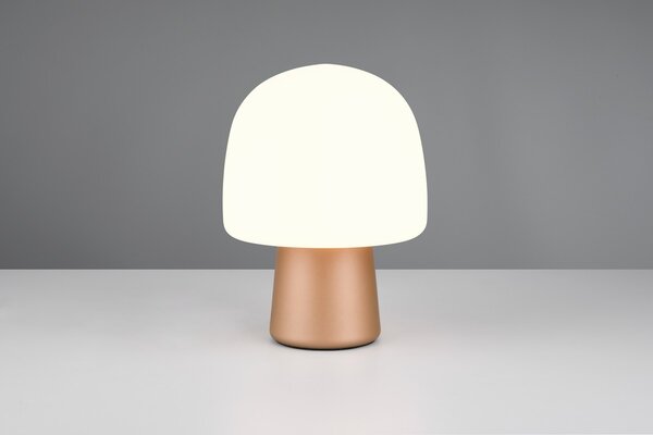 Φωτιστικό Επιτραπέζιο Trio Lighting STEEN 568200165 Καφετί (Coffee)