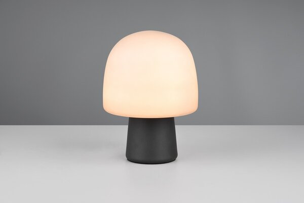 Φωτιστικό Επιτραπέζιο Trio Lighting STEEN 568200132 Μαύρο Ματ (Black Mat)