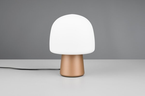 Φωτιστικό Επιτραπέζιο Trio Lighting STEEN 568200165 Καφετί (Coffee)