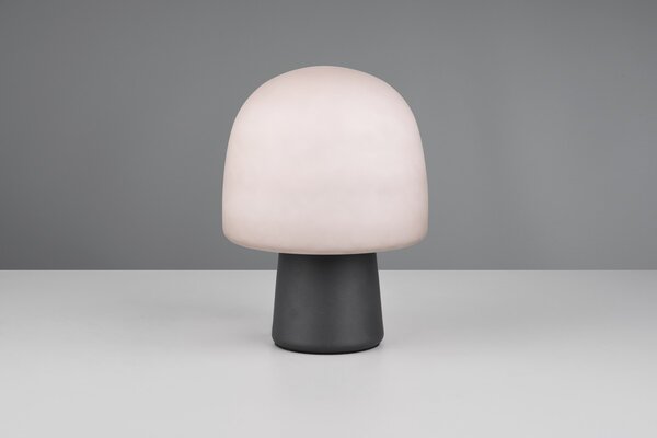 Φωτιστικό Επιτραπέζιο Trio Lighting STEEN 568200132 Μαύρο Ματ (Black Mat)